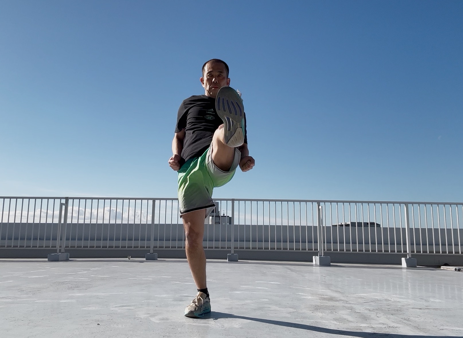 �{�f�B�R���o�b�g105-7,���G�^�C,�R���I,�e�N�j�b�N,�|�C���g